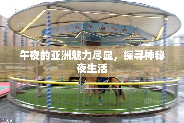 午夜的亚洲魅力尽显，探寻神秘夜生活