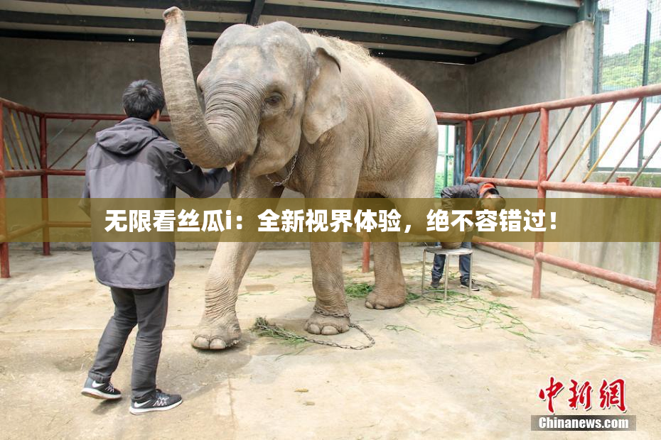 无限看丝瓜i：全新视界体验，绝不容错过！
