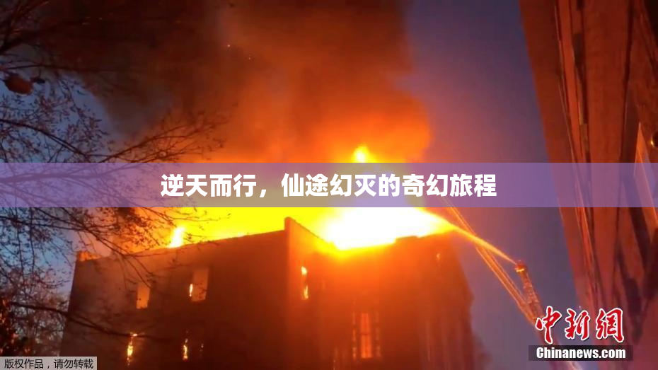 逆天而行，仙途幻灭的奇幻旅程