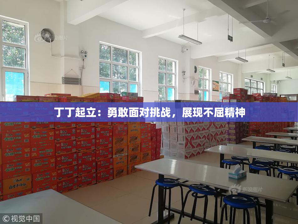 丁丁起立：勇敢面对挑战，展现不屈精神
