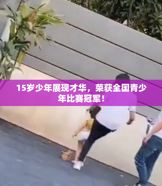 15岁少年展现才华，荣获全国青少年比赛冠军！