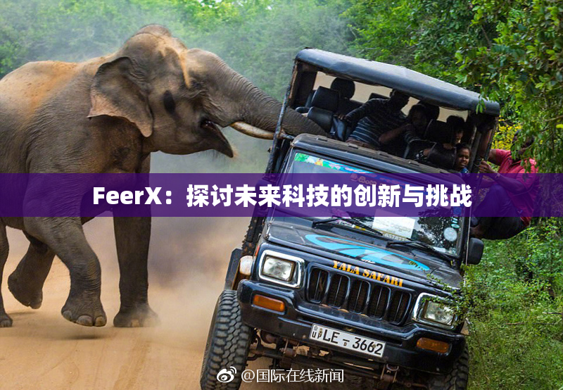 FeerX：探讨未来科技的创新与挑战
