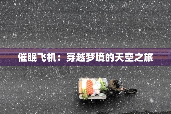 催眠飞机：穿越梦境的天空之旅
