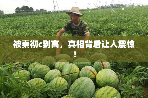 被秦彻c到高，真相背后让人震惊！