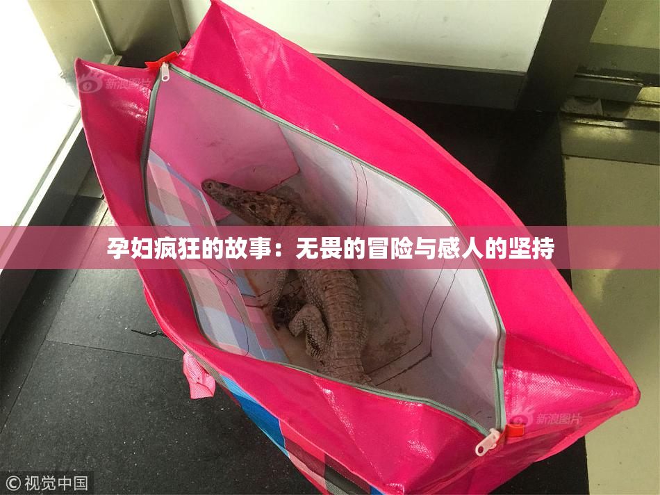 孕妇疯狂的故事：无畏的冒险与感人的坚持