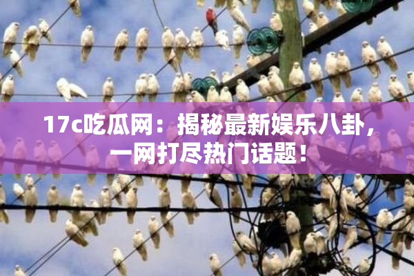 17c吃瓜网：揭秘最新娱乐八卦，一网打尽热门话题！