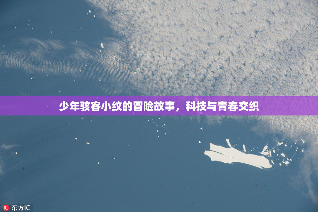 少年骇客小纹的冒险故事，科技与青春交织