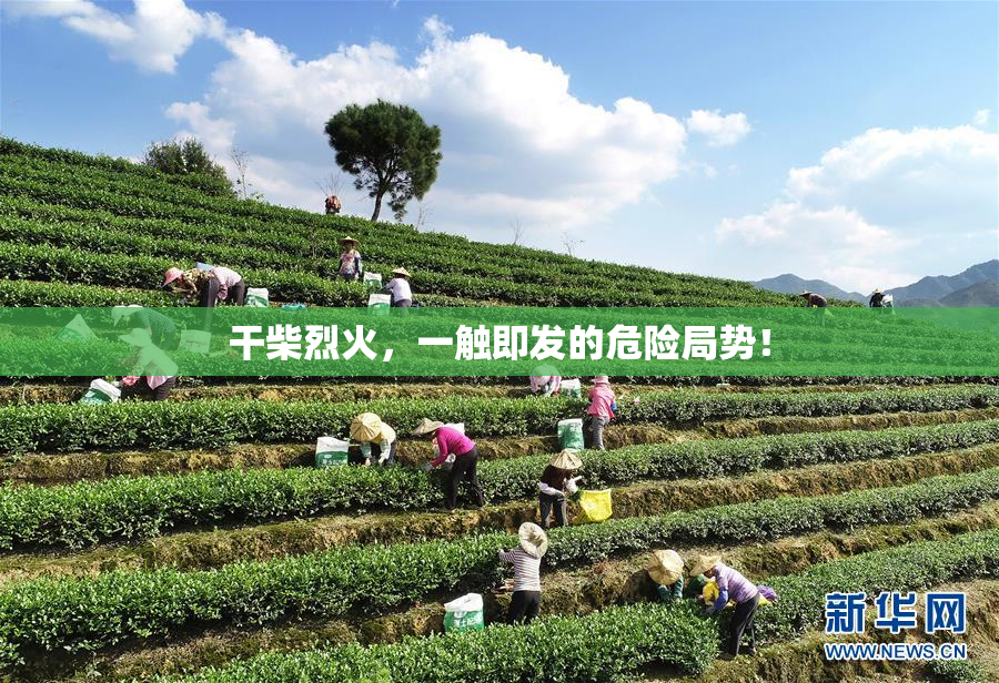 干柴烈火，一触即发的危险局势！