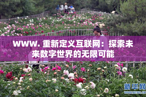 WWW. 重新定义互联网：探索未来数字世界的无限可能