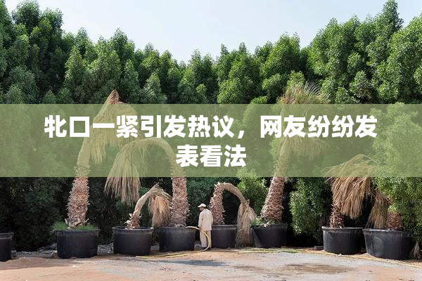 牝口一紧引发热议，网友纷纷发表看法