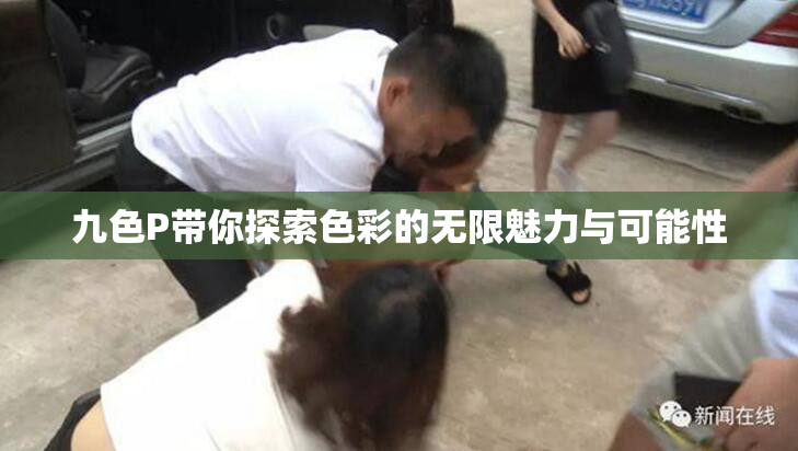 九色P带你探索色彩的无限魅力与可能性