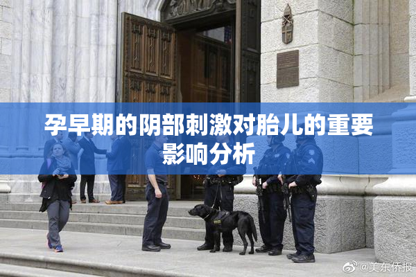 孕早期的阴部刺激对胎儿的重要影响分析