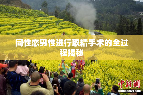 同性恋男性进行取精手术的全过程揭秘