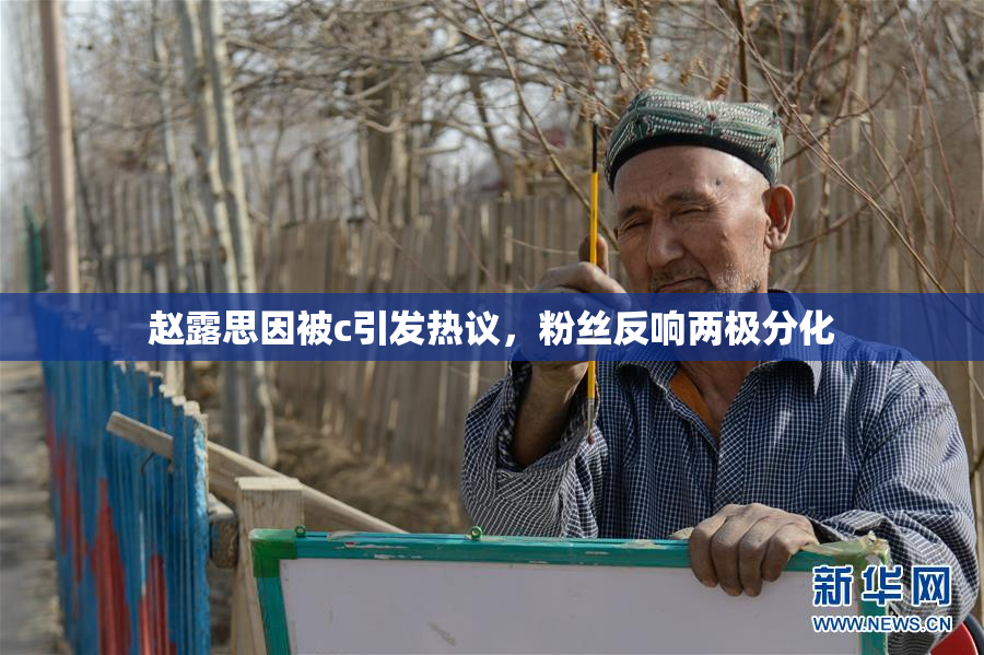 赵露思因被c引发热议，粉丝反响两极分化