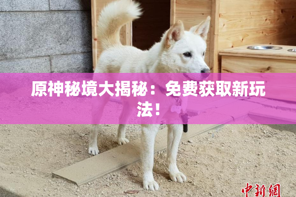 原神秘境大揭秘：免费获取新玩法！