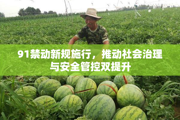 91禁动新规施行，推动社会治理与安全管控双提升