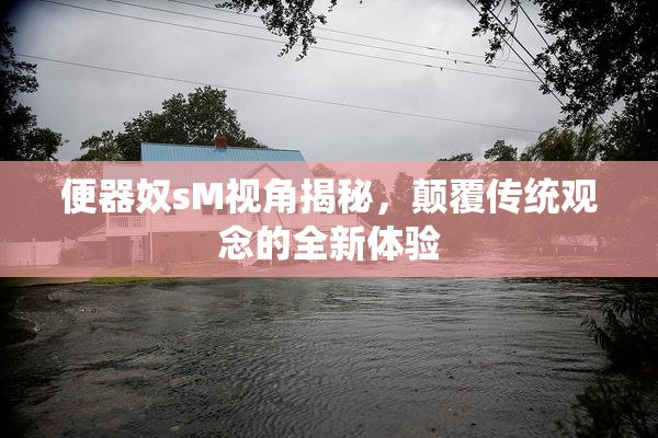便器奴sM视角揭秘，颠覆传统观念的全新体验