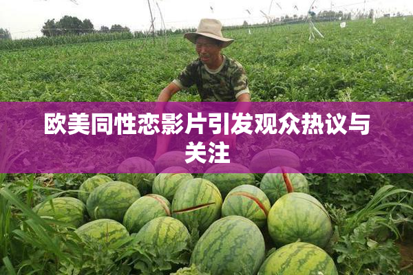 欧美同性恋影片引发观众热议与关注