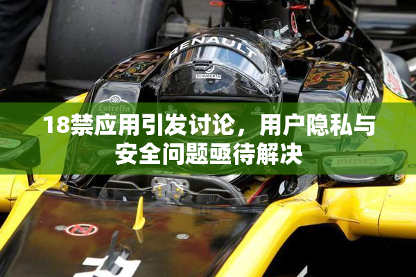 18禁应用引发讨论，用户隐私与安全问题亟待解决