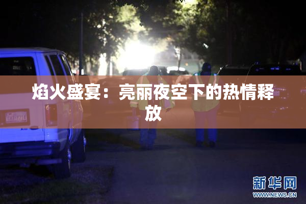 焰火盛宴：亮丽夜空下的热情释放