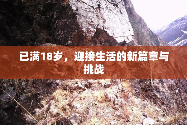 已满18岁，迎接生活的新篇章与挑战