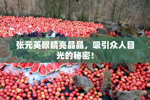 张元英眼睛亮晶晶，吸引众人目光的秘密！