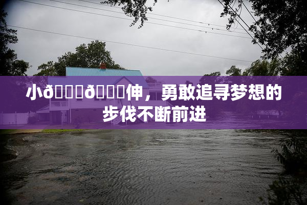 小🐔🐔伸，勇敢追寻梦想的步伐不断前进