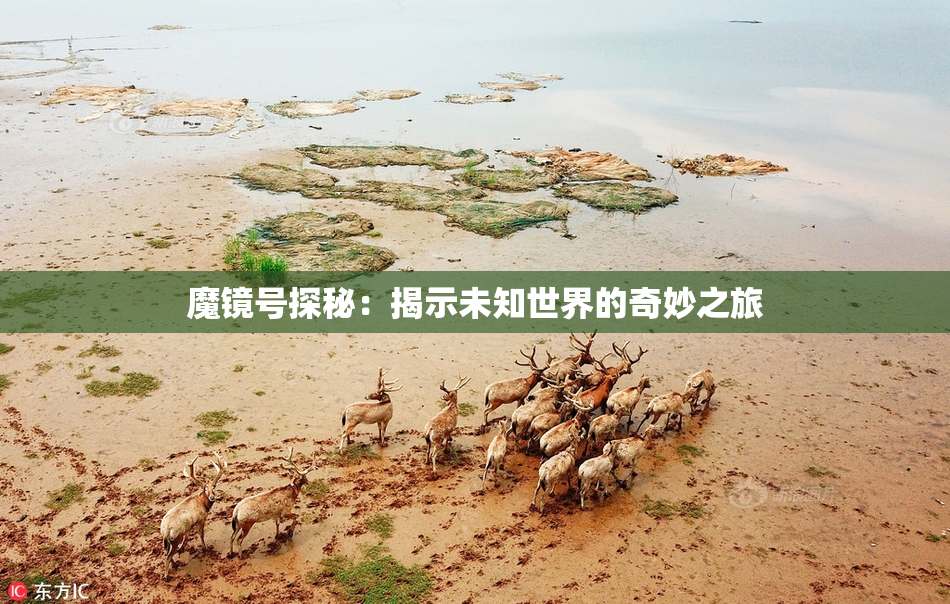 魔镜号探秘：揭示未知世界的奇妙之旅