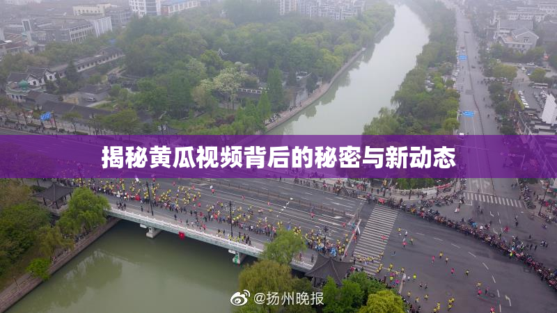 揭秘黄瓜视频背后的秘密与新动态
