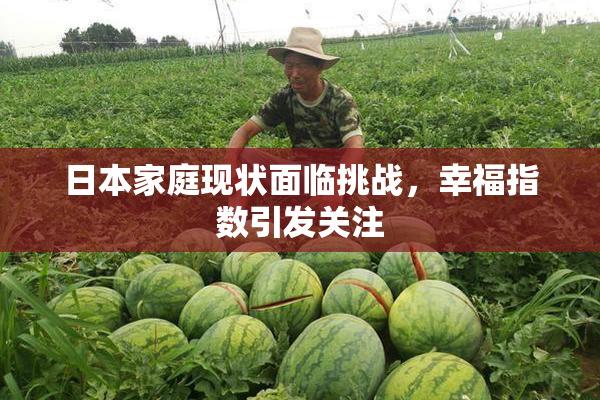 日本家庭现状面临挑战，幸福指数引发关注
