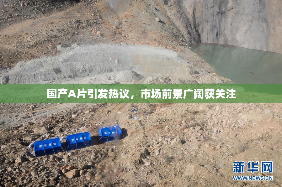 国产A片引发热议，市场前景广阔获关注