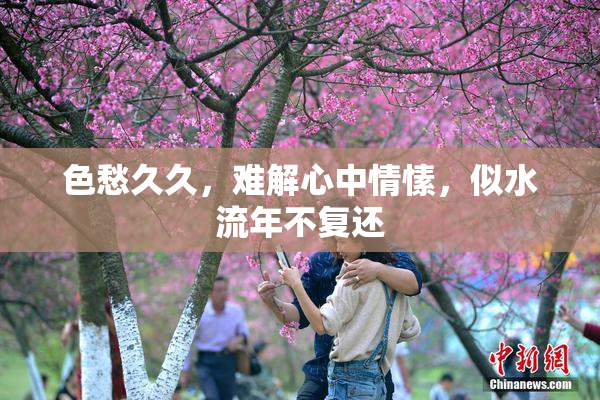 色愁久久，难解心中情愫，似水流年不复还