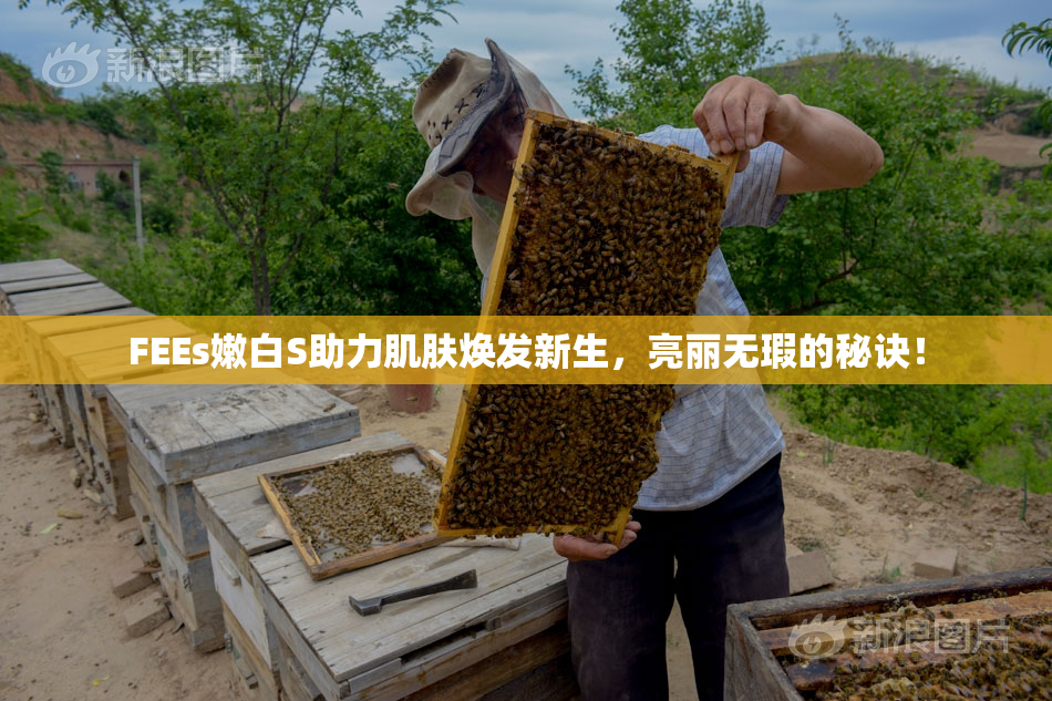 FEEs嫩白S助力肌肤焕发新生，亮丽无瑕的秘诀！