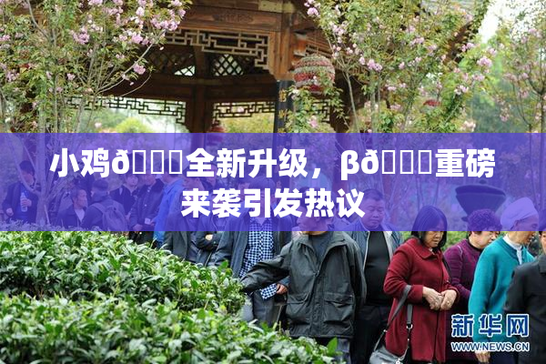 小鸡🐔全新升级，β🔞重磅来袭引发热议