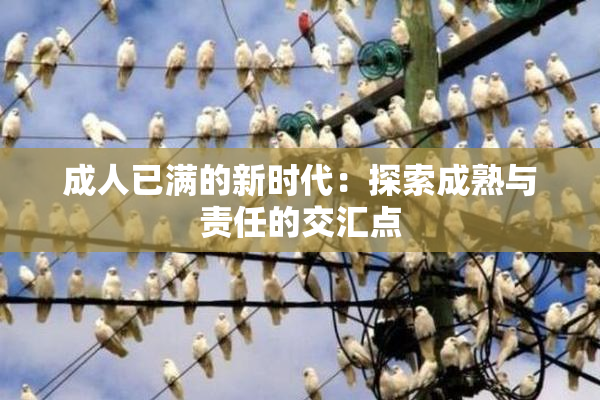 成人已满的新时代：探索成熟与责任的交汇点
