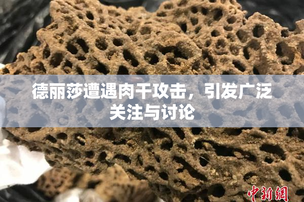 德丽莎遭遇肉干攻击，引发广泛关注与讨论