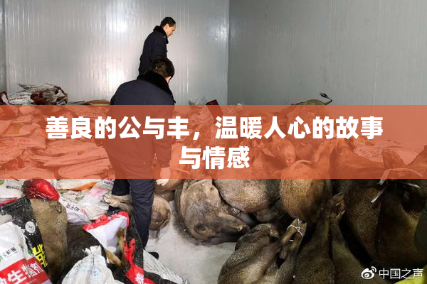 善良的公与丰，温暖人心的故事与情感
