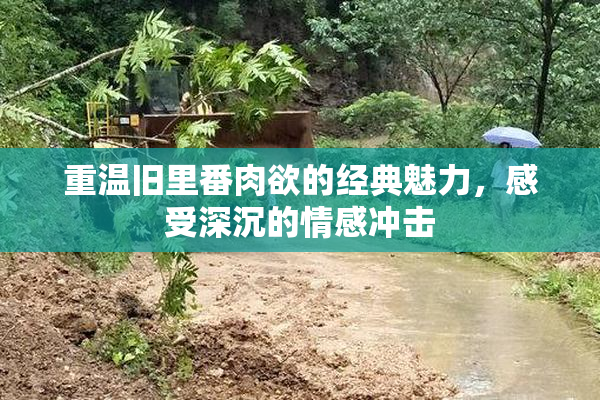 重温旧里番肉欲的经典魅力，感受深沉的情感冲击