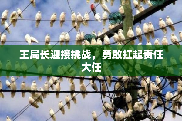 王局长迎接挑战，勇敢扛起责任大任