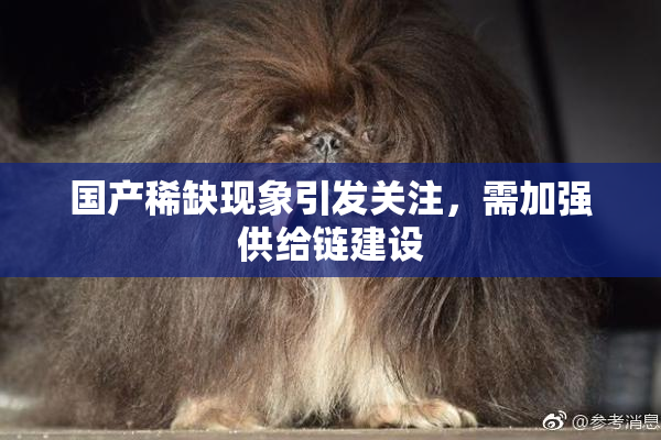 国产稀缺现象引发关注，需加强供给链建设
