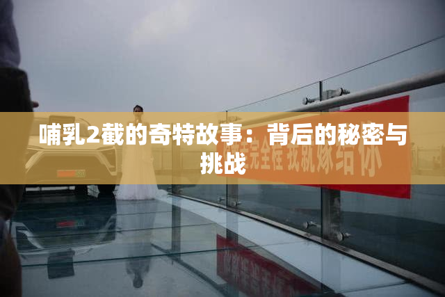 哺乳2截的奇特故事：背后的秘密与挑战