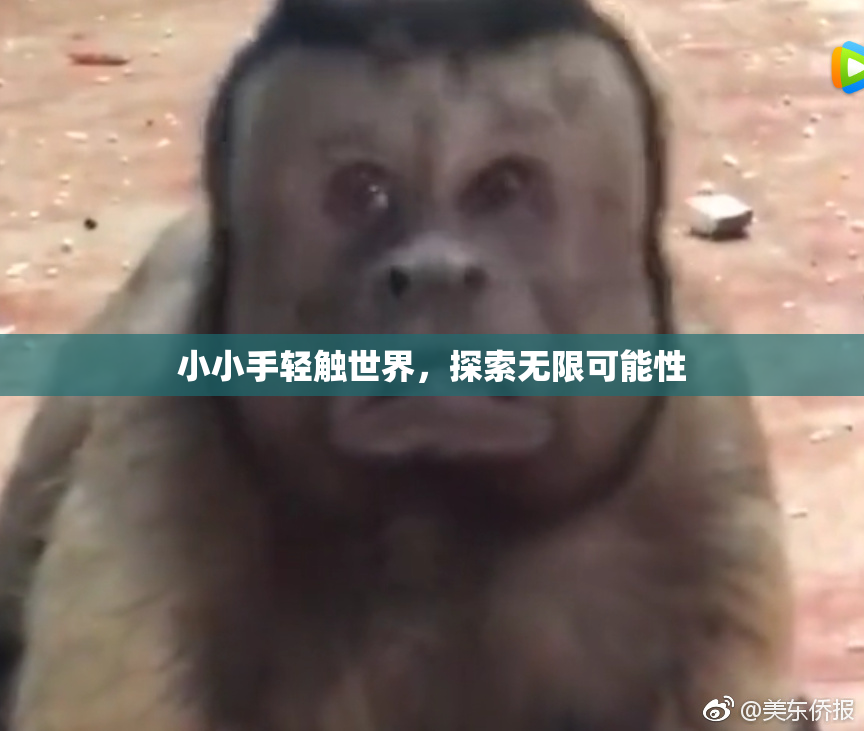 小小手轻触世界，探索无限可能性