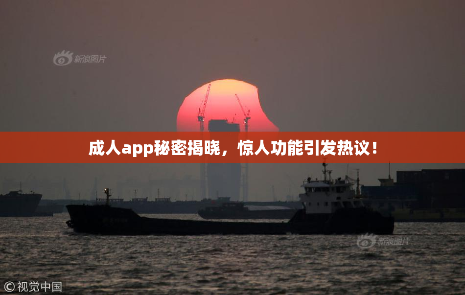 成人app秘密揭晓，惊人功能引发热议！