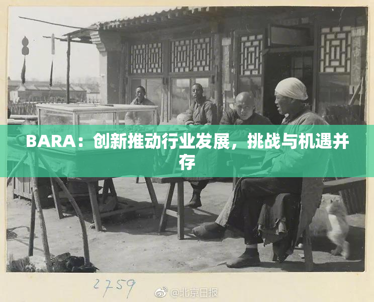 BARA：创新推动行业发展，挑战与机遇并存