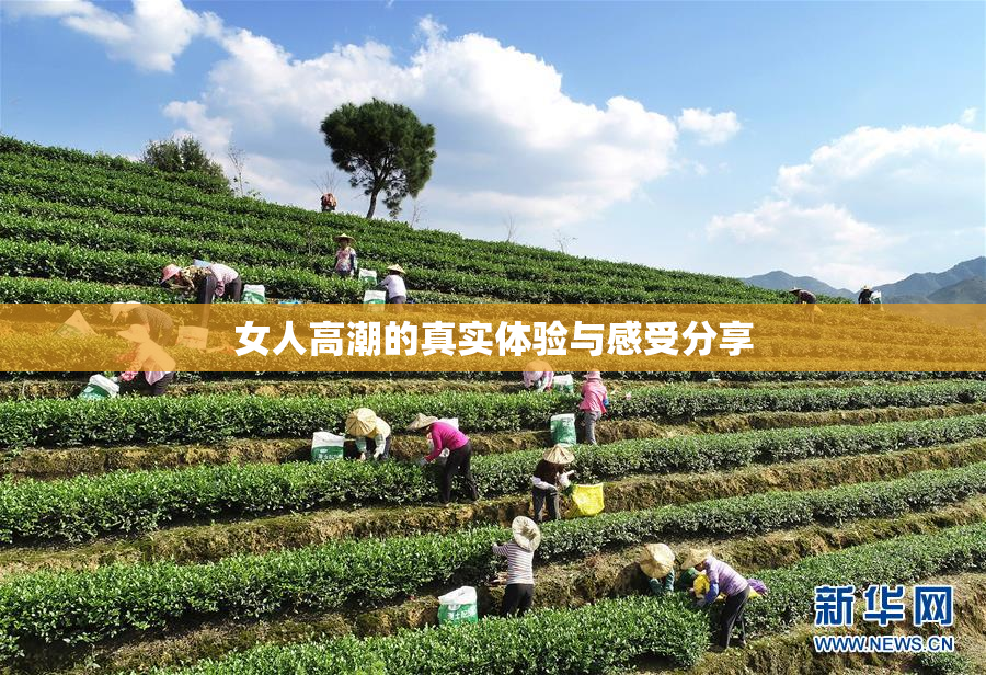 女人高潮的真实体验与感受分享