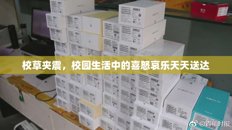 校草夹震，校园生活中的喜怒哀乐天天送达