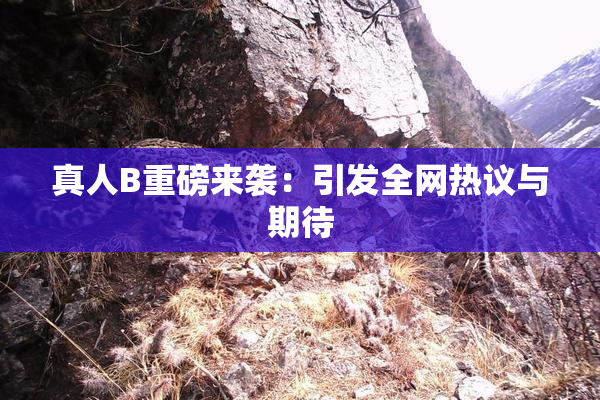 真人B重磅来袭：引发全网热议与期待