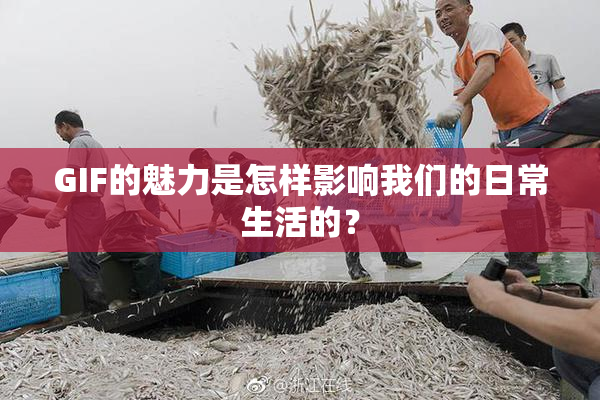 GIF的魅力是怎样影响我们的日常生活的？