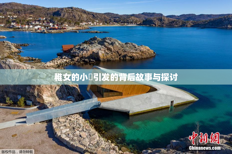 稚女的小泬引发的背后故事与探讨