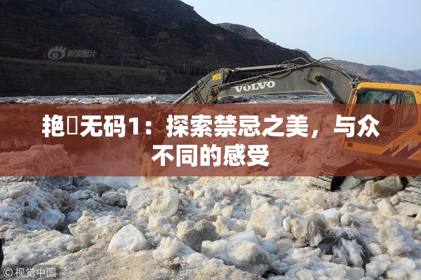 艳鉧无码1：探索禁忌之美，与众不同的感受